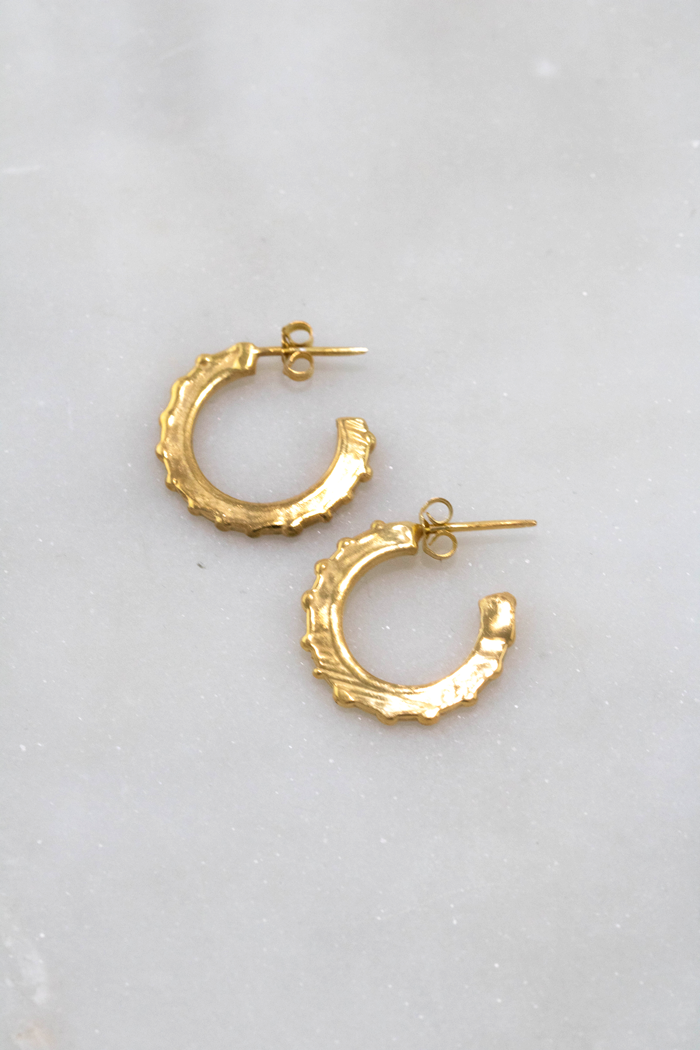 Crowned Hoops